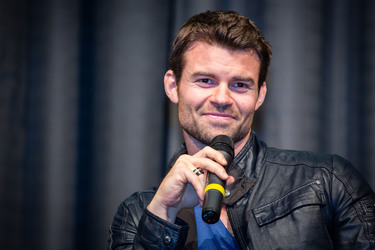 Daniel Gillies