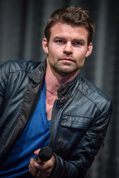 Daniel Gillies