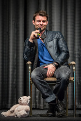 Daniel Gillies
