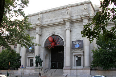American Museum of Natural History