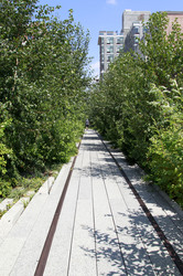 Im High Line Park