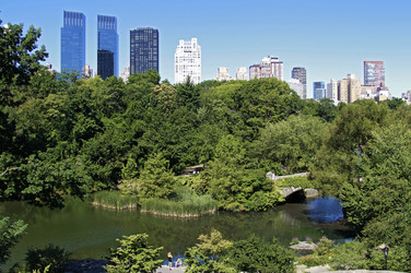 The Pond mit Gapstow Bridge