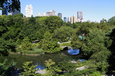 The Pond mit Gapstow Bridge