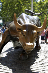 Charging Bull