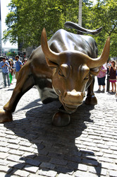Charging Bull