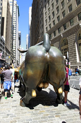 Charging Bull
