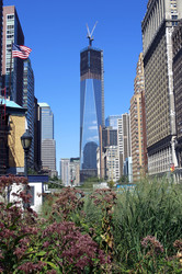 One World Trade Center / Freedom Tower