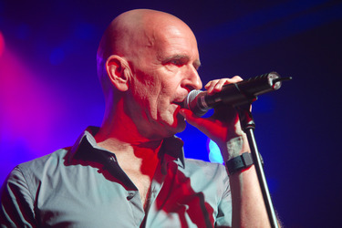 Michael Sadler (Saga)