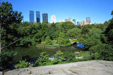 The Pond mit Gapstow Bridge