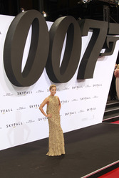 Sylvie van der Vaart