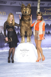 Susan Sideropoulos, Isabell Horn