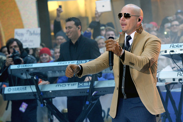 Pitbul