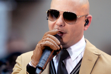 Pitbul