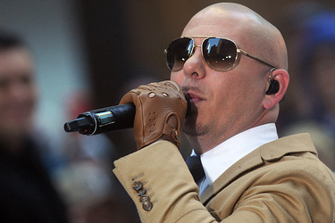 Pitbul