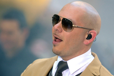 Pitbul