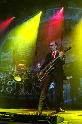 Duke Erikson (Garbage)