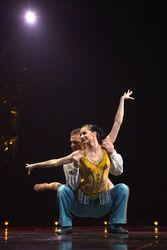 Cirque du Soleil Artisten