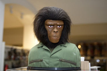 Planet der Affen Büste