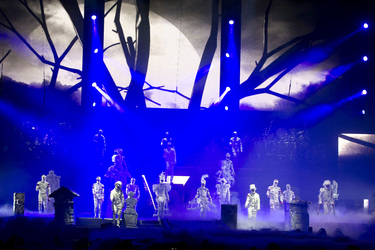 Cirque du Soleil Artisten