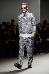 Richard Nicoll Model