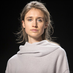 Perret Schaad Model