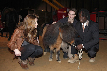 Hanna Höppner, Marvin Linke