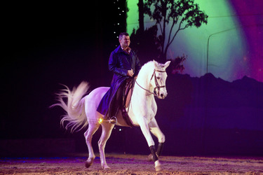 Apassionata Pferdeshow