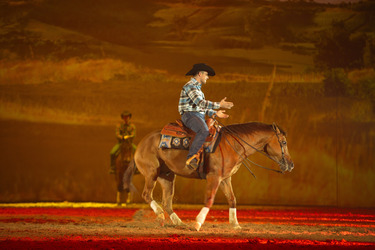 Apassionata Pferdeshow