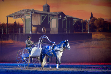 Apassionata Pferdeshow