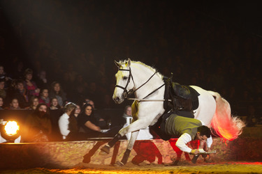 Apassionata Pferdeshow