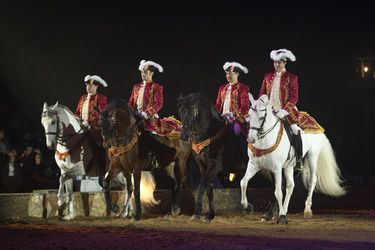 Apassionata Pferdeshow