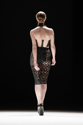 Dawid Tomaszewski Model