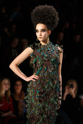 Guido Maria Kretschmer Model