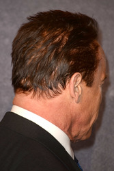 Arnold Schwarzenegger