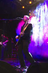 Paul Banks (Interpol)