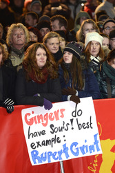 Rupert Grint Fans