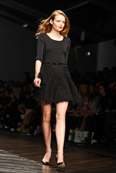 Felder and Felder Model