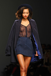 Felder and Felder Model