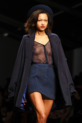 Felder and Felder Model