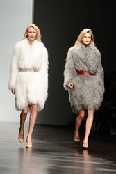 Felder and Felder Models