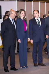 José Ignacio Wert, Letizia von Spanien