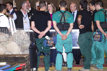 Letizia von Spanien, José Ignacio Wert