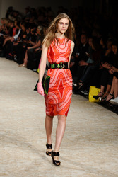 House of Holland Model