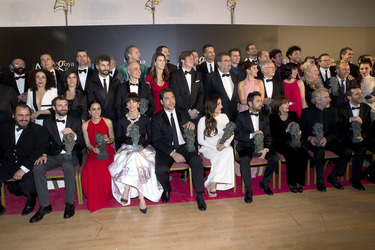 Goya Preisträger 2013