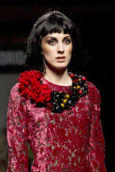 Francis Montesinos Model