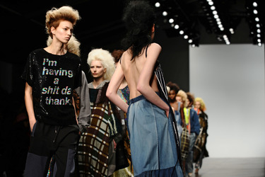 Ashish Models