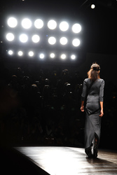 Aminaka Wilmont Model