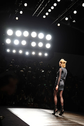 Aminaka Wilmont Model