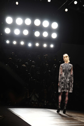 Aminaka Wilmont Model