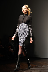 Aminaka Wilmont Model